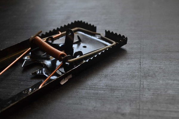 What are the most effective pest control methods for a rural gastropub?